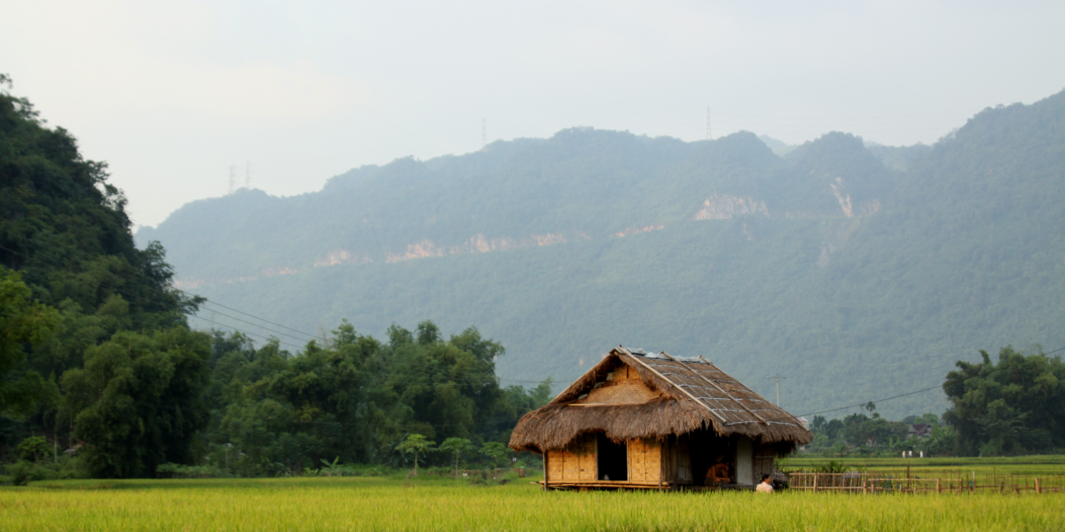 The Green culture circle of Ninh Binh - Hoa Binh